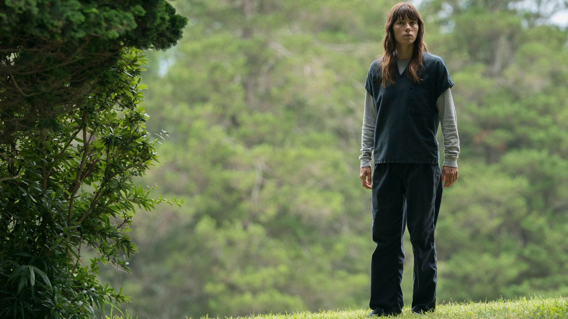 The Sinner background