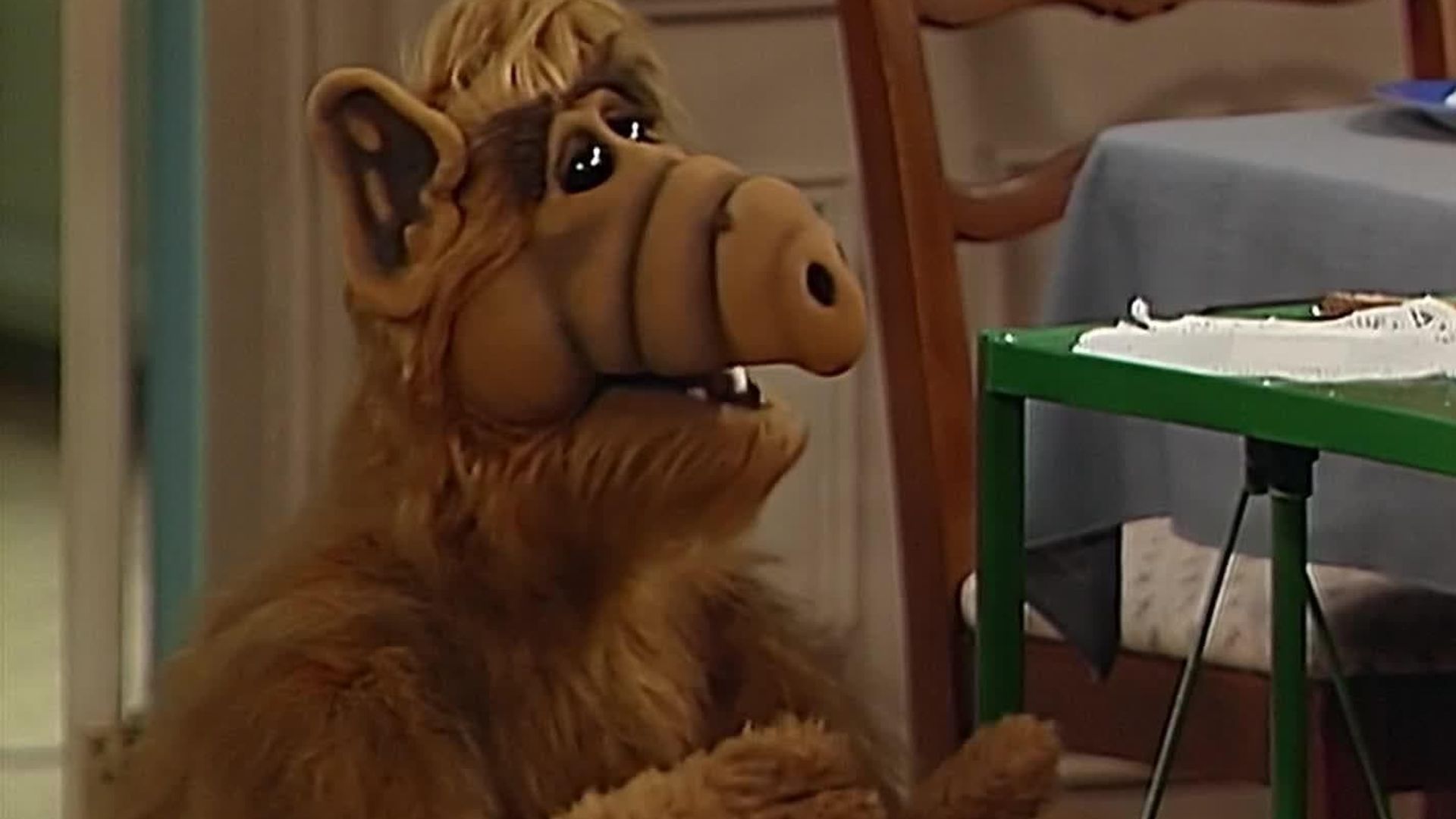 ALF background