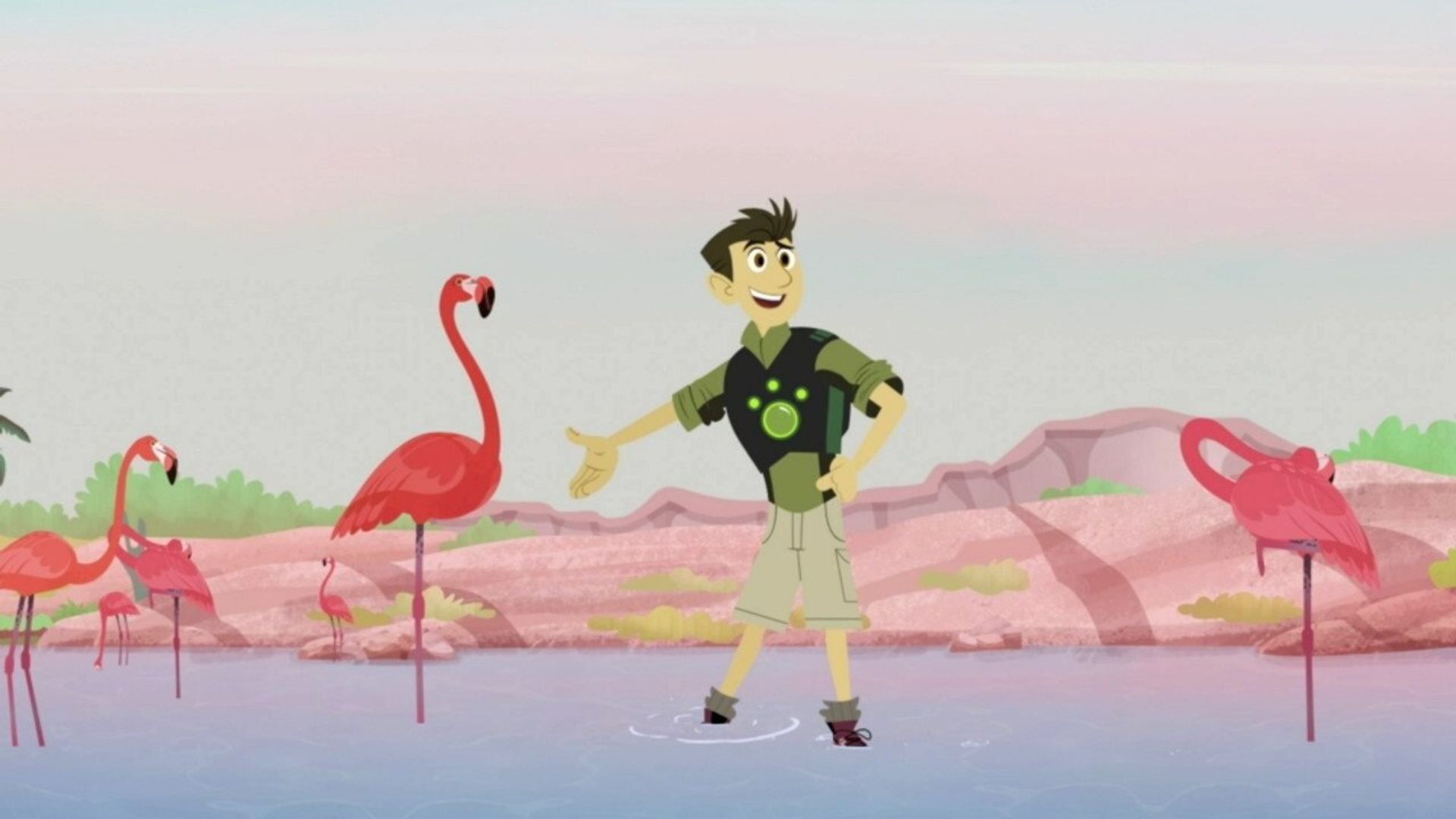 Wild Kratts background