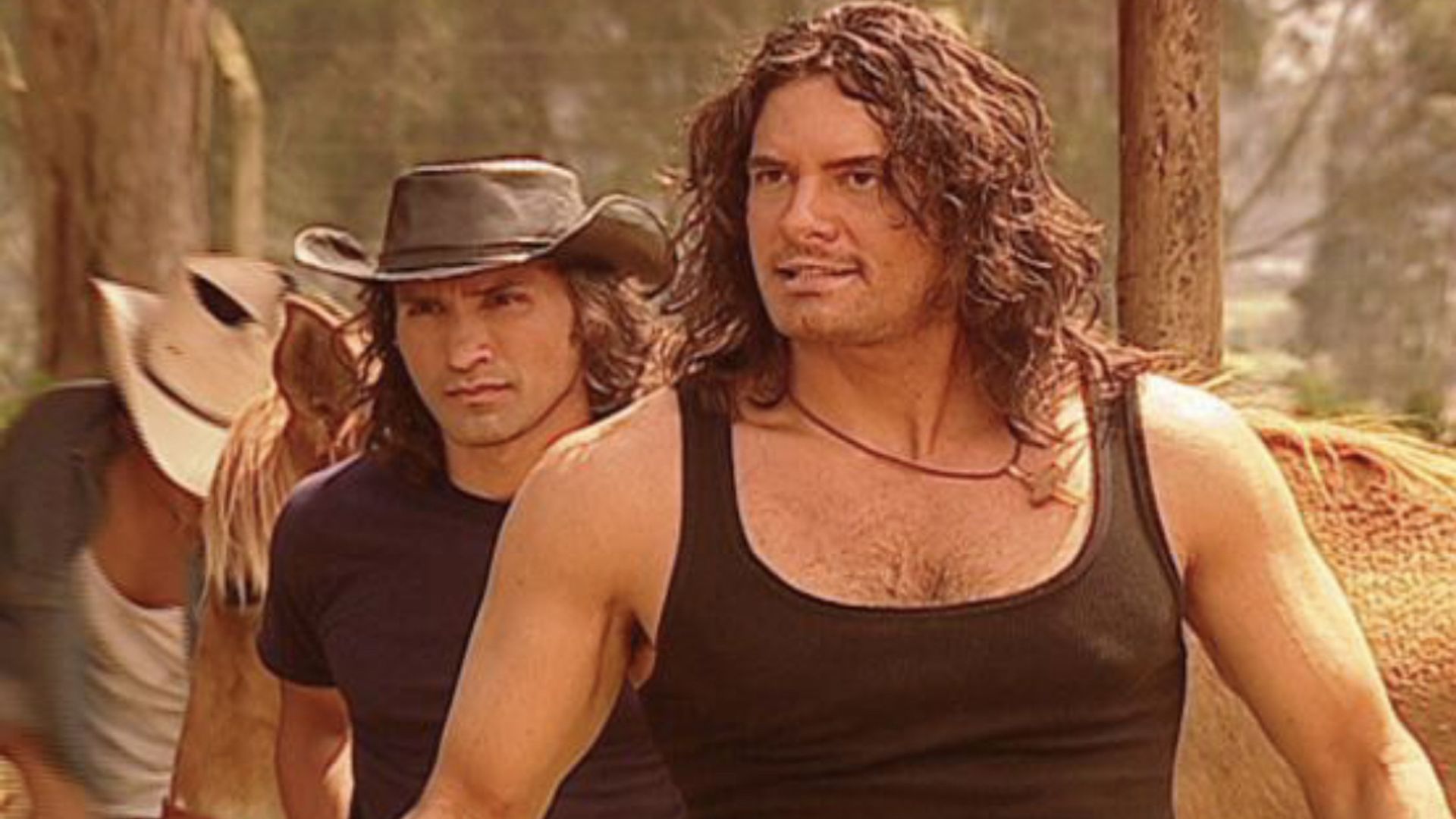 Pasión de gavilanes background