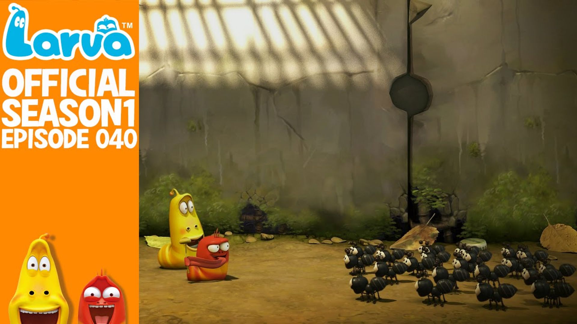 Larva background