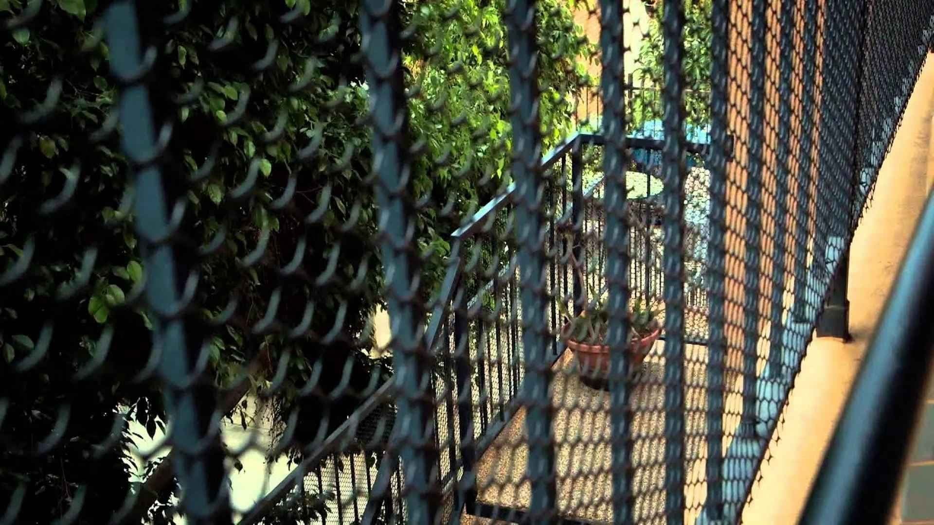 Snapped: She Made Me Do It background