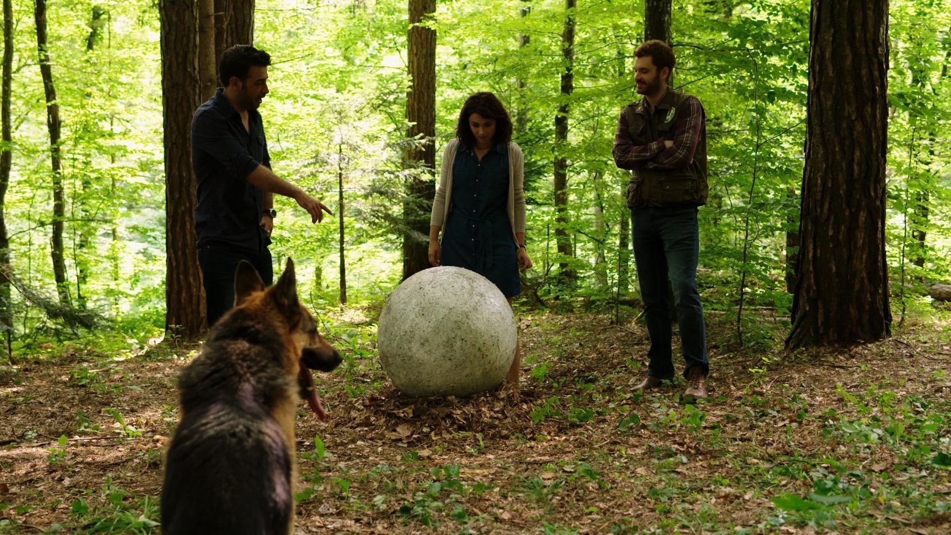Whichever Way the Ball Bounces background