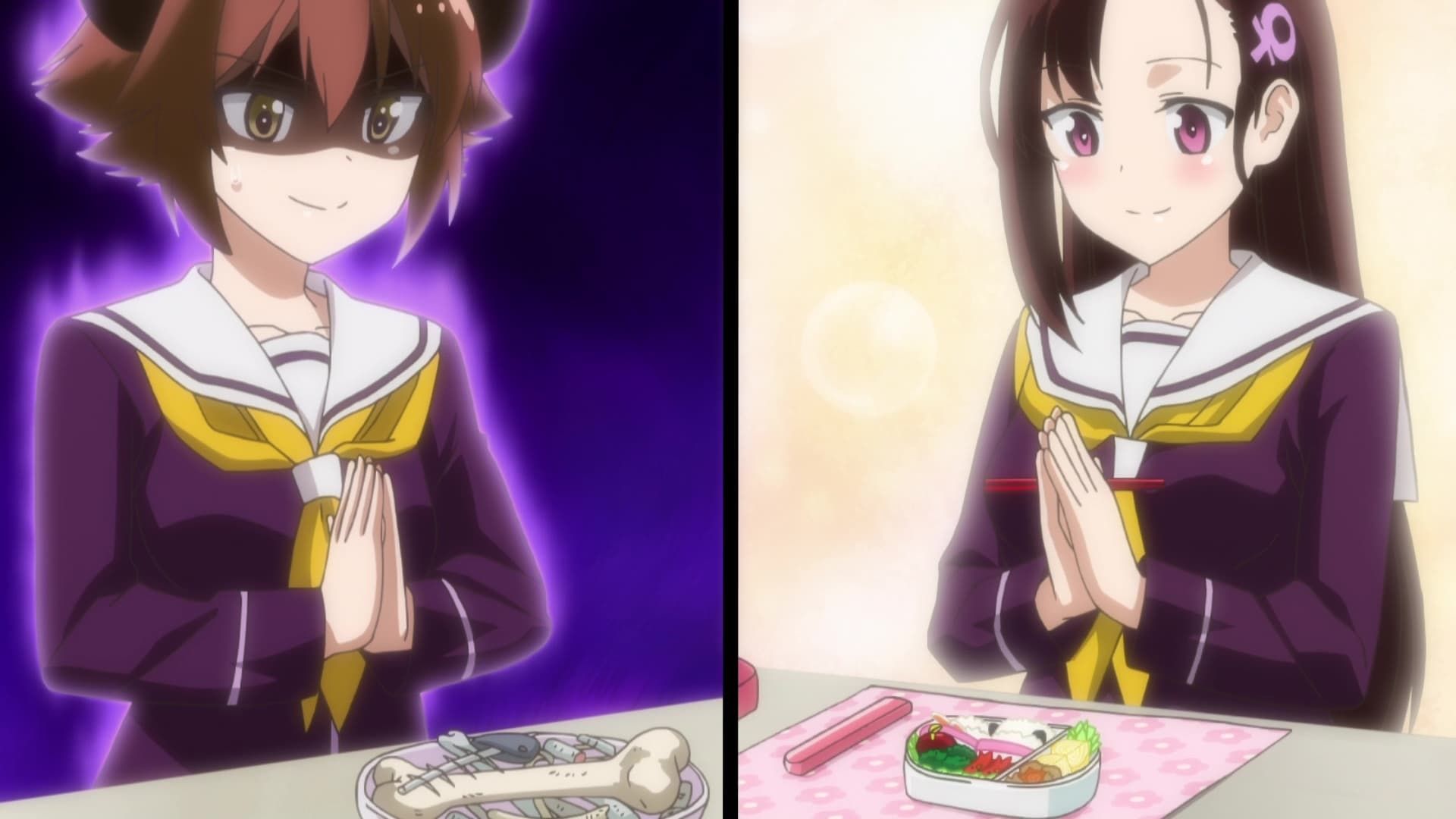 Murenase! Seton Gakuen background