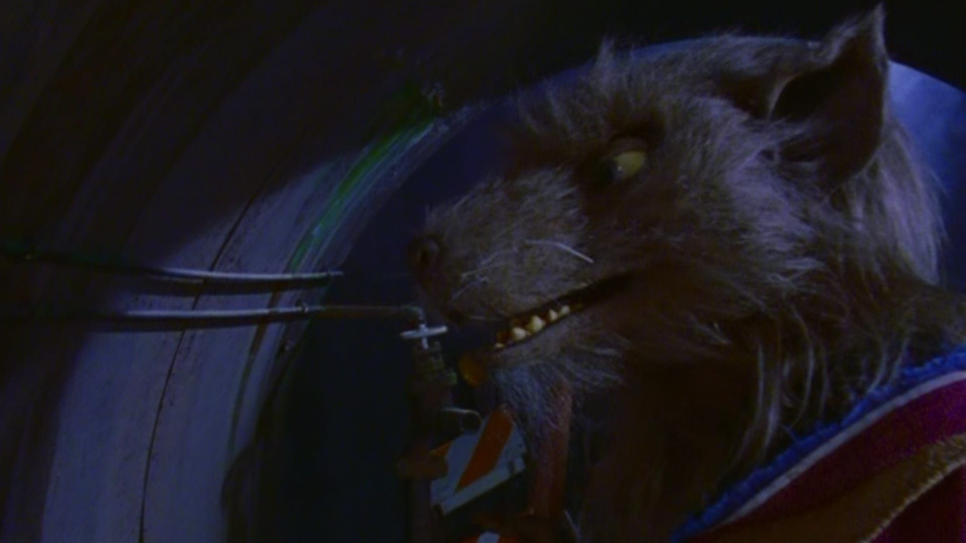 Ninja Turtles: The Next Mutation background