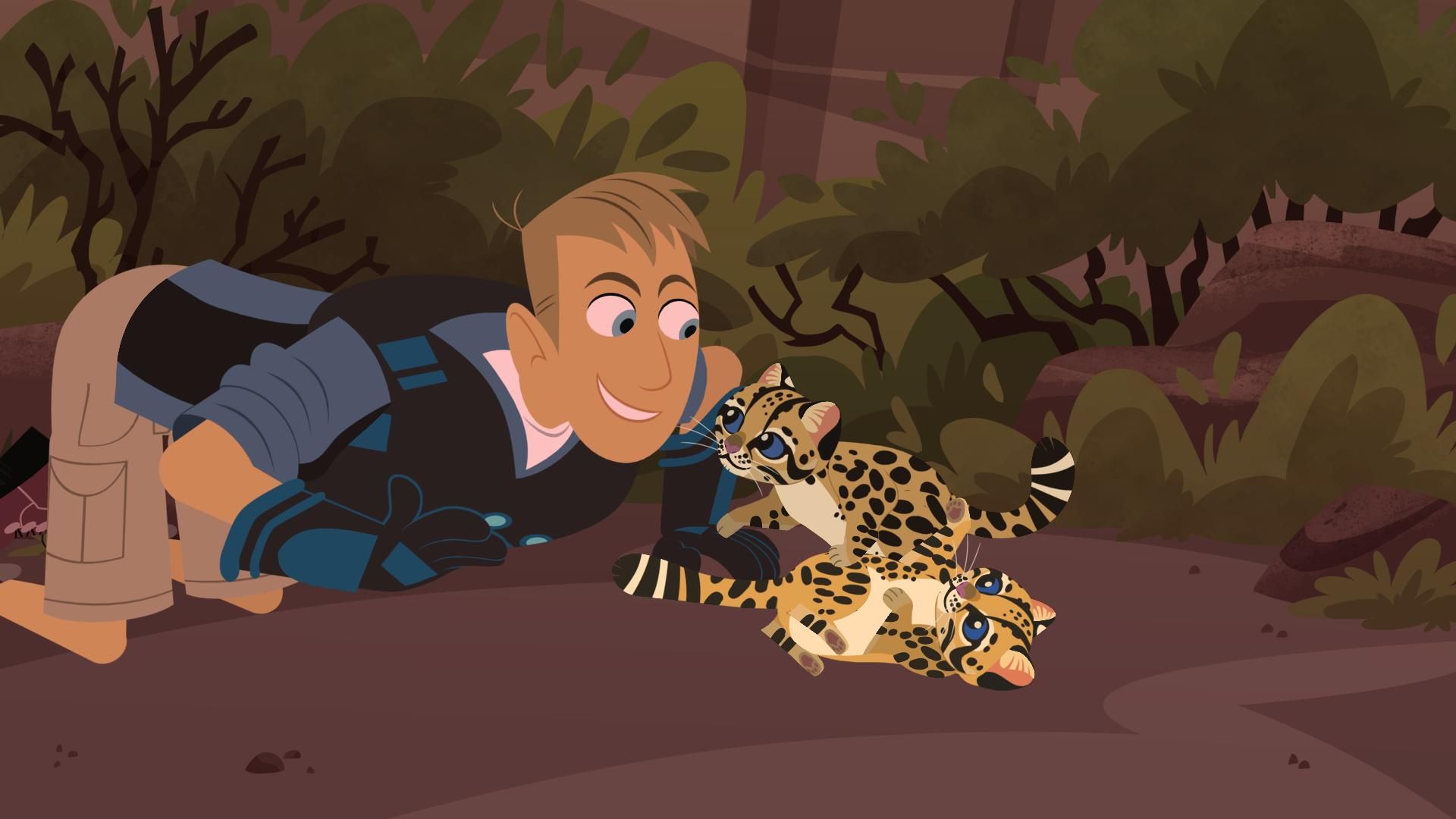 Wild Kratts background