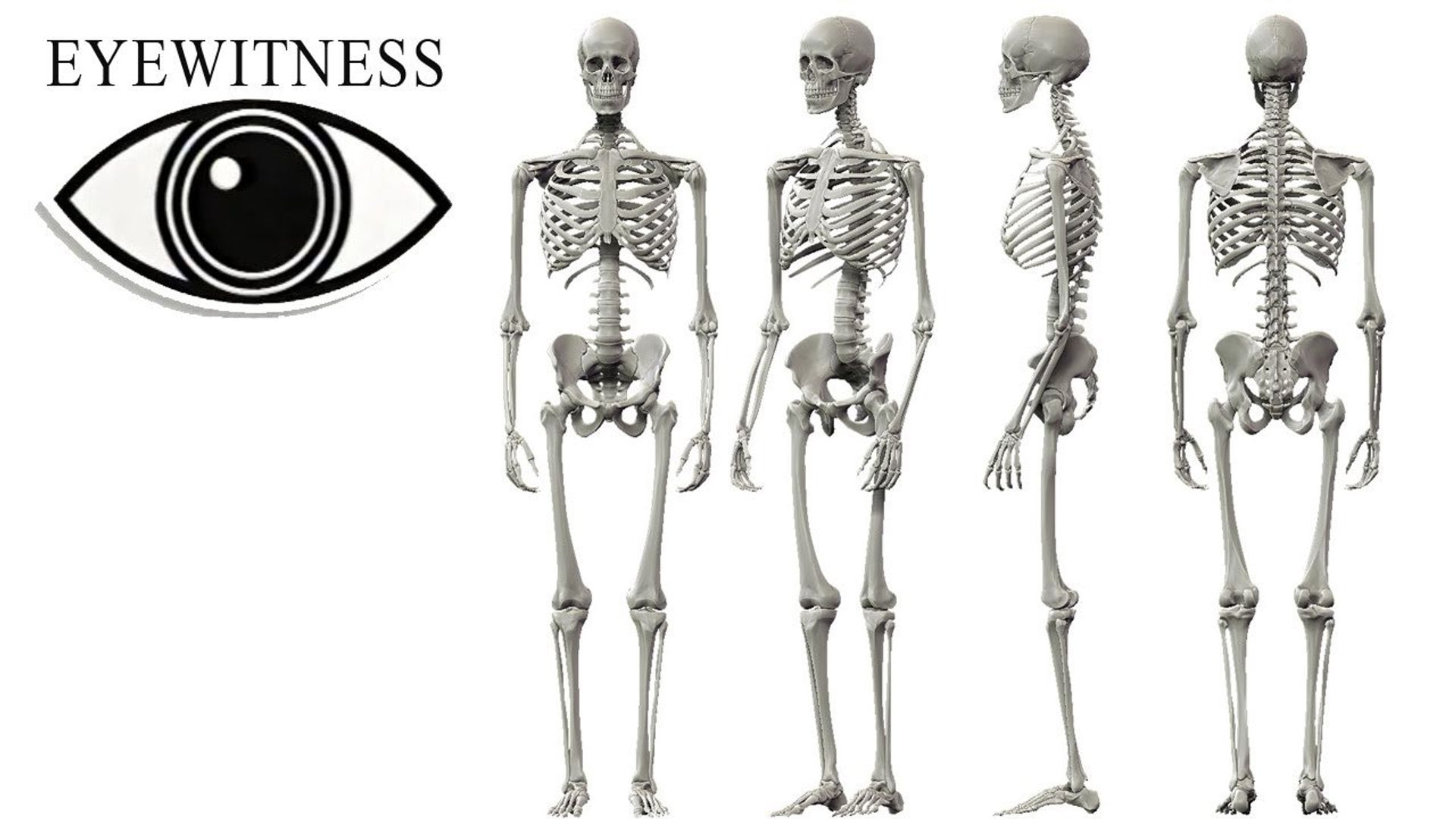 Eyewitness background
