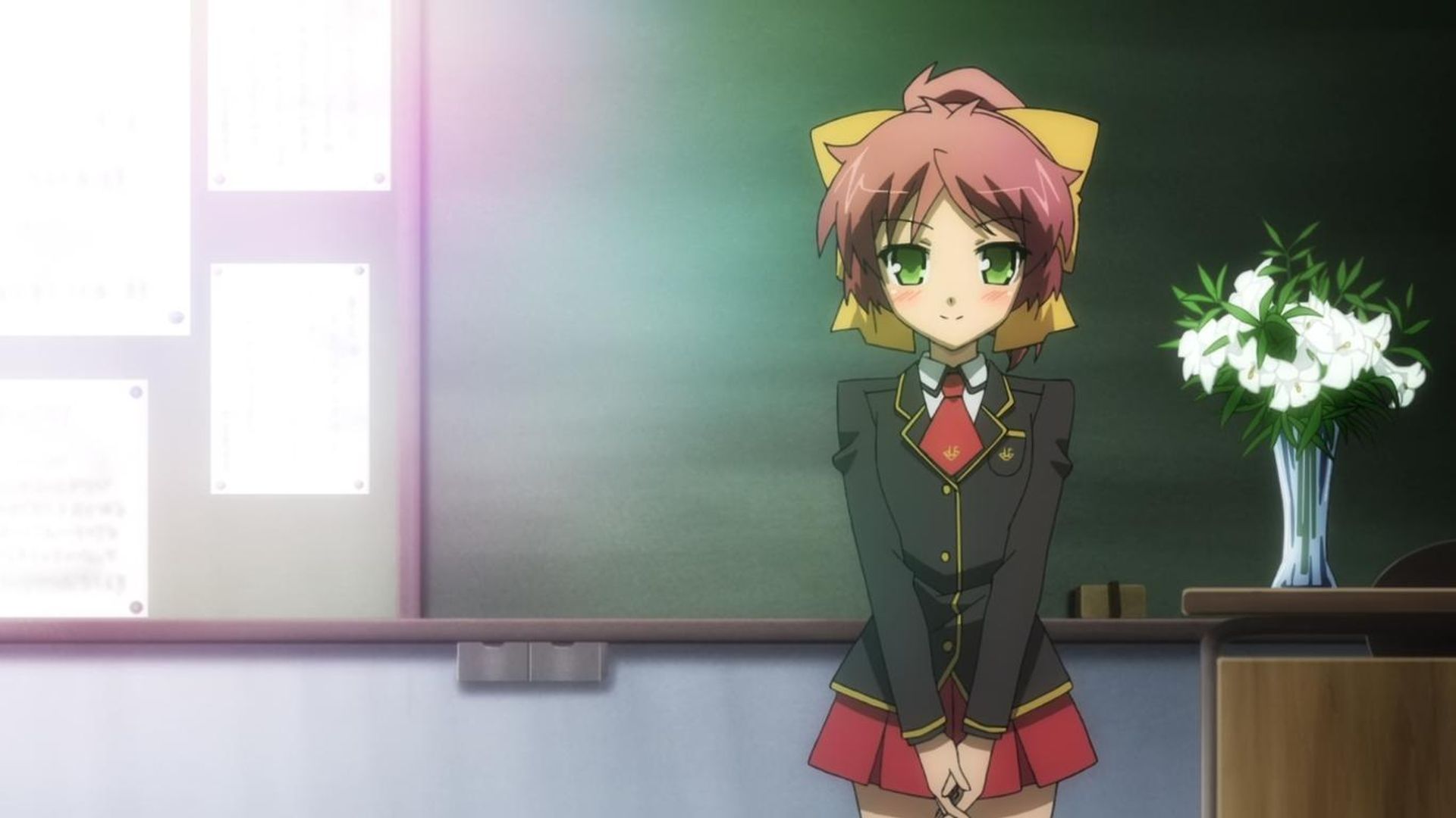 Baka and Test background