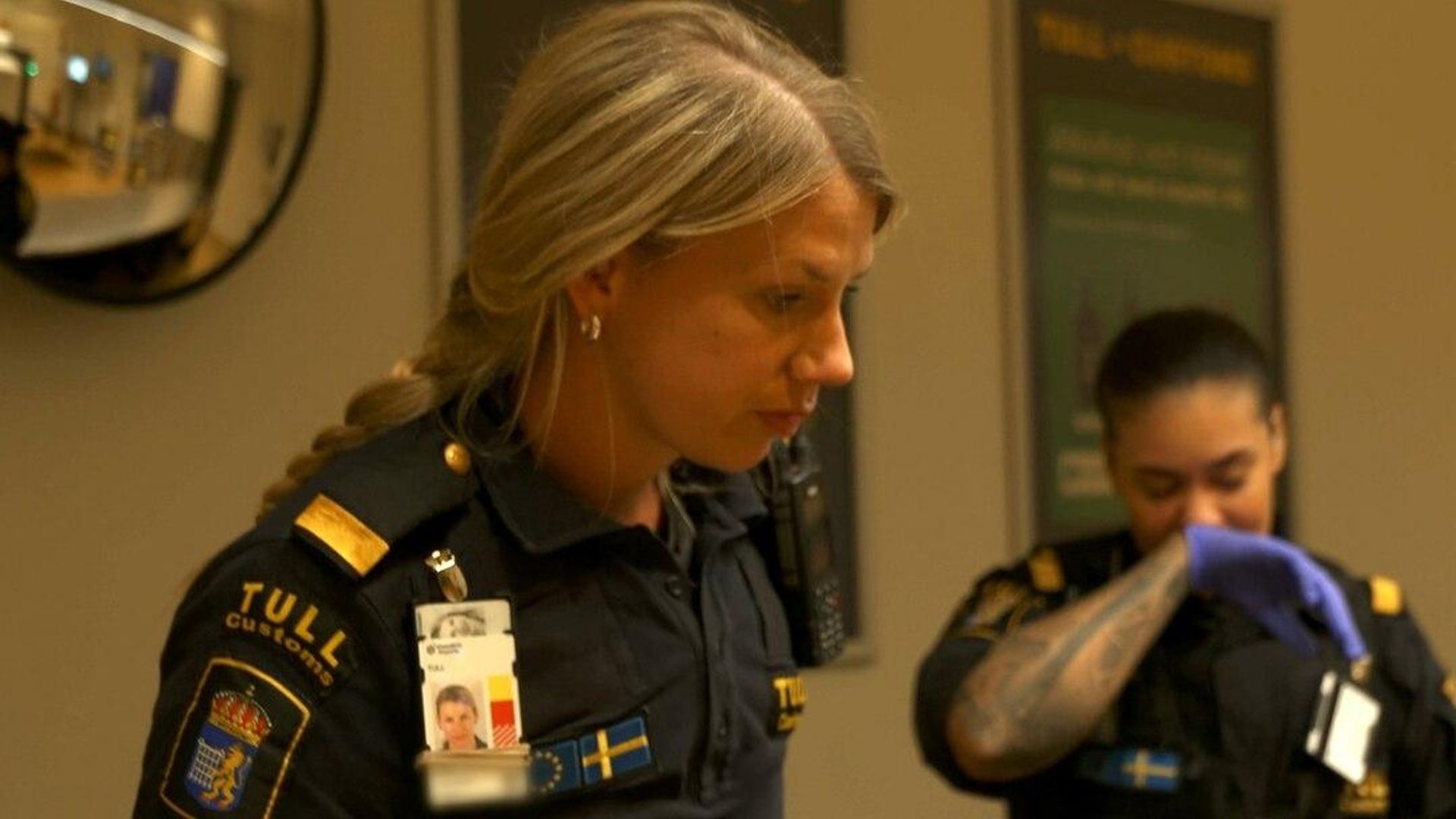 Border Control: Sweden background