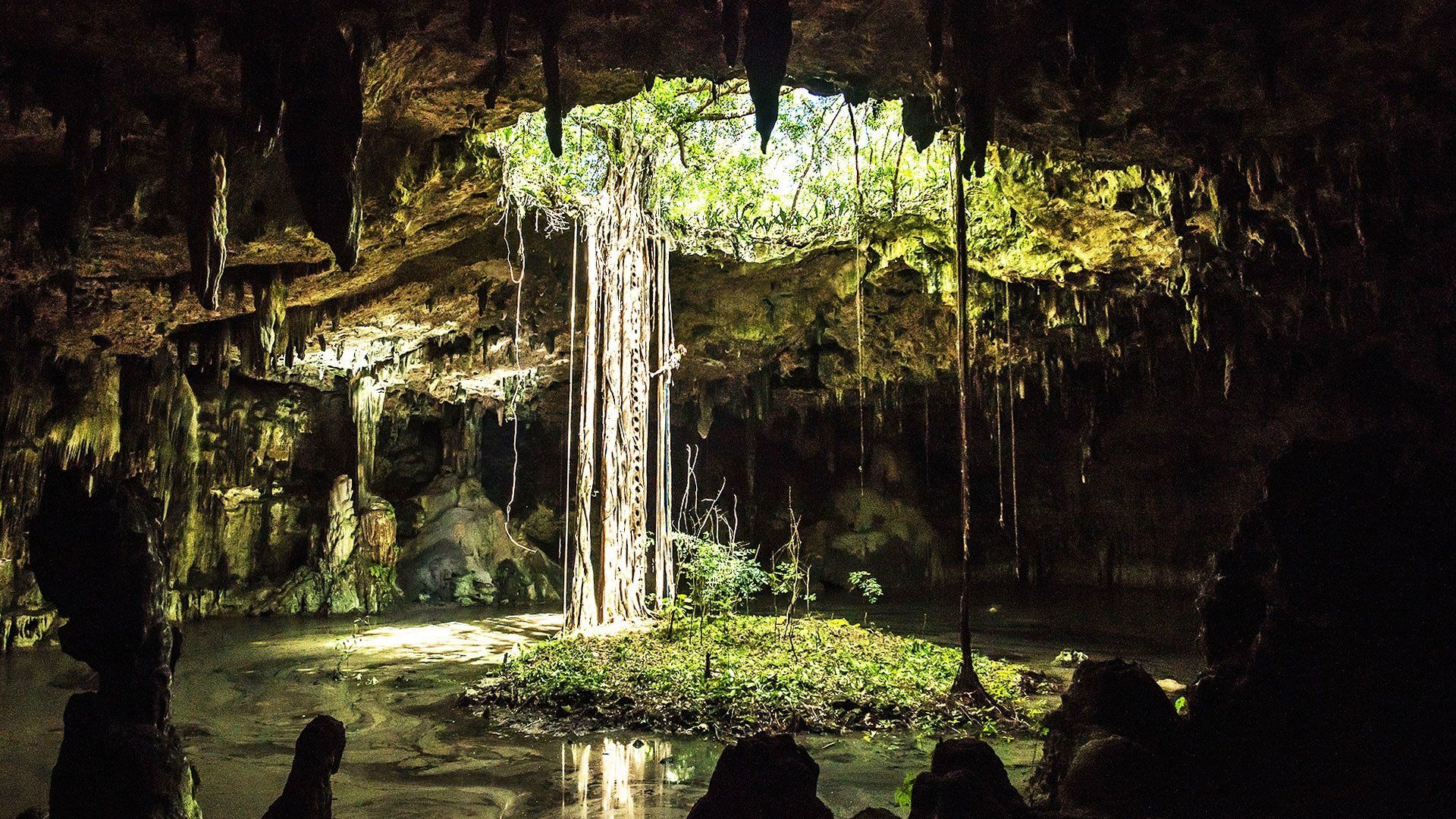 Mexico: Earth's Festival of Life background