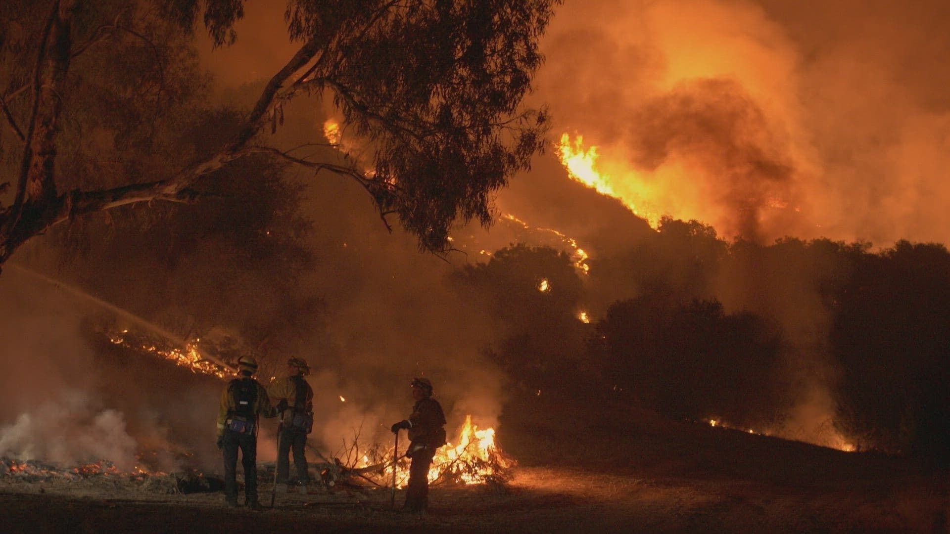Cal Fire background
