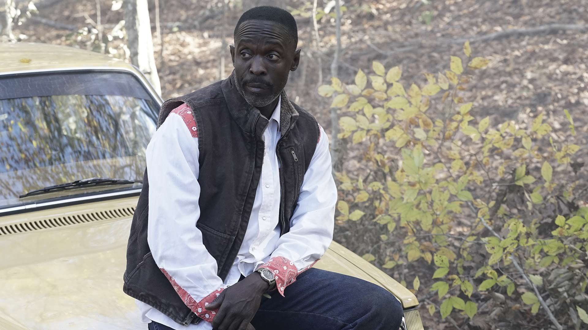 Hap and Leonard background