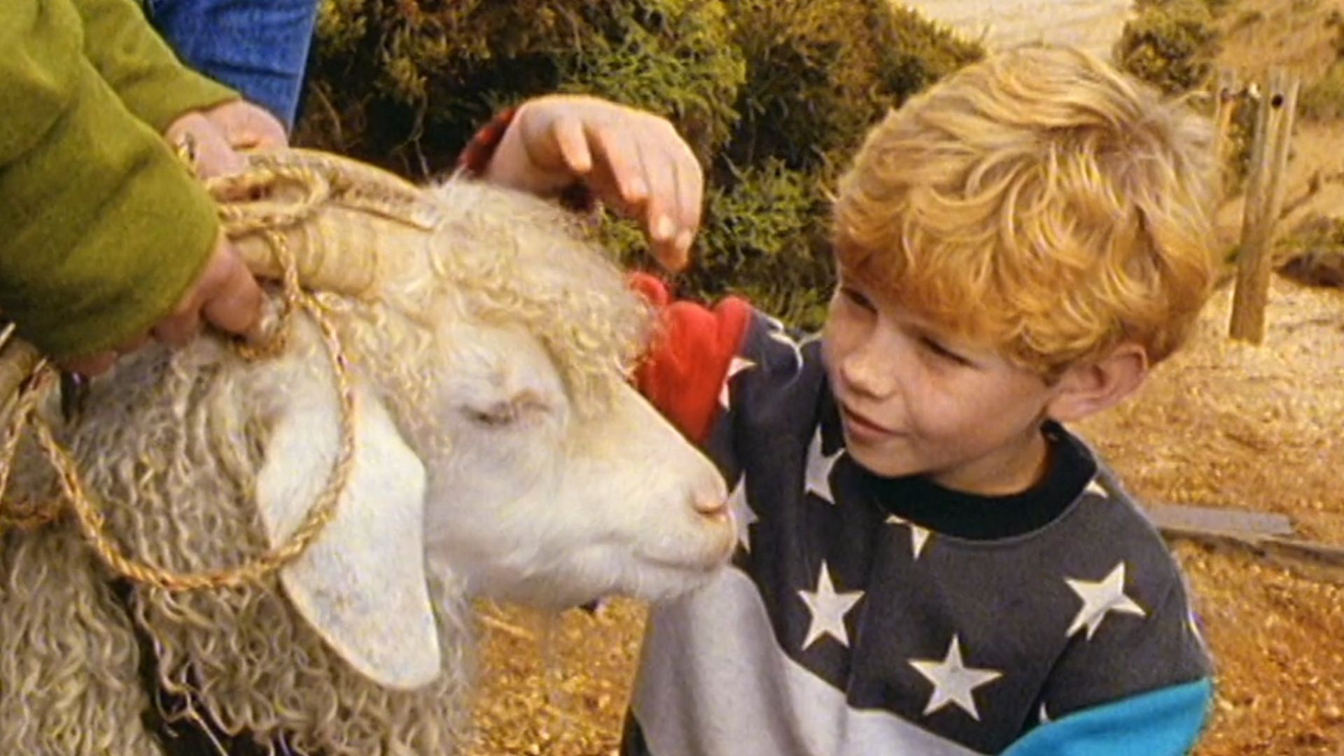 Round the Twist background