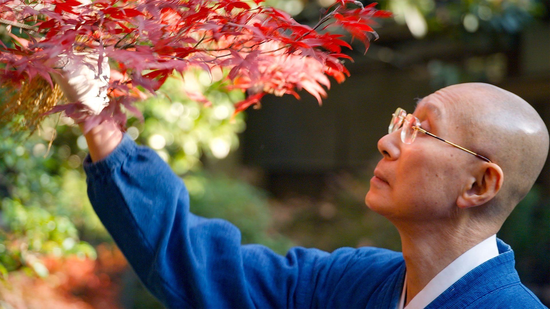Nature and Us: A History Through Art background