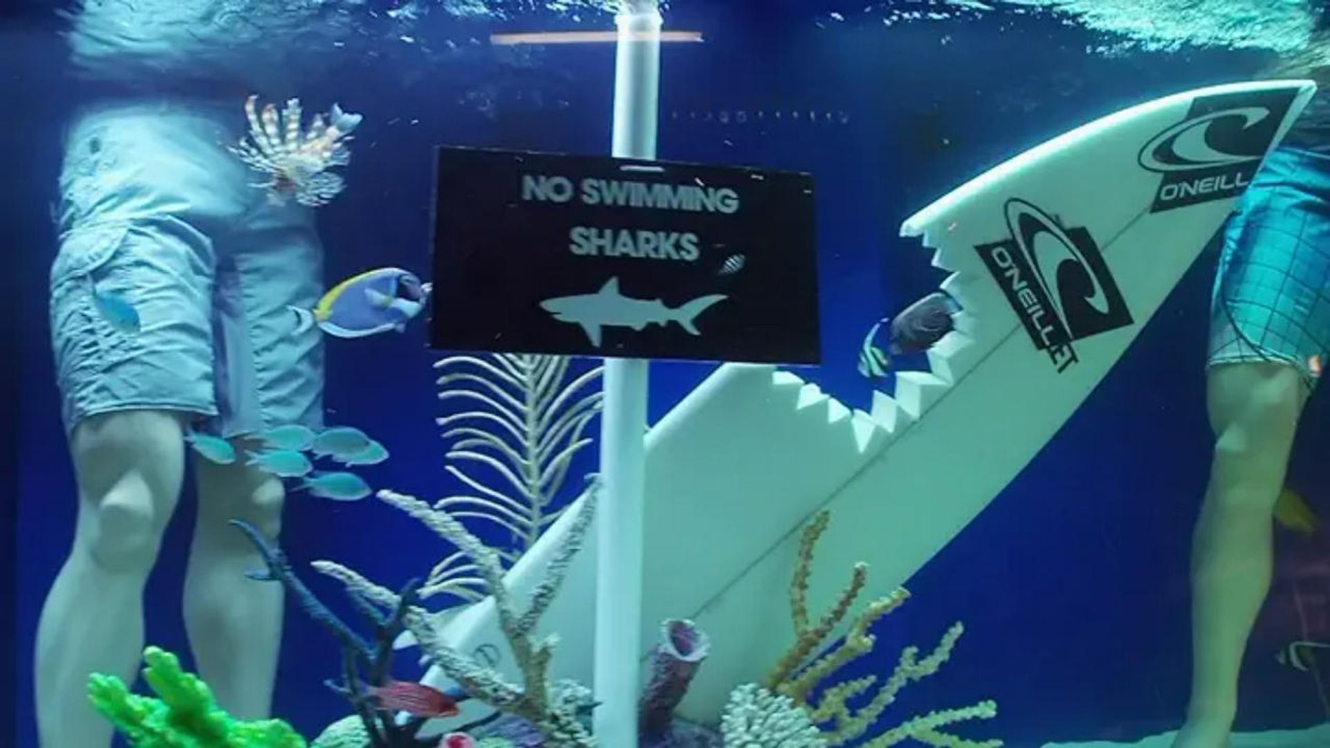Tanked background