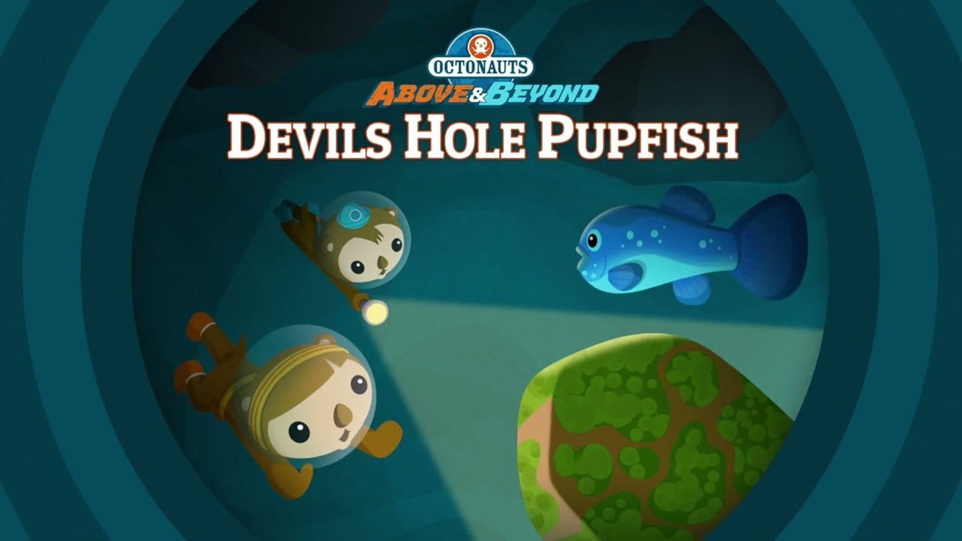 Octonauts: Above & Beyond background