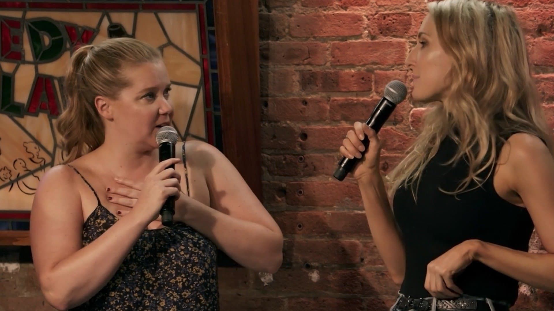 Bumping Mics with Jeff Ross & Dave Attell background