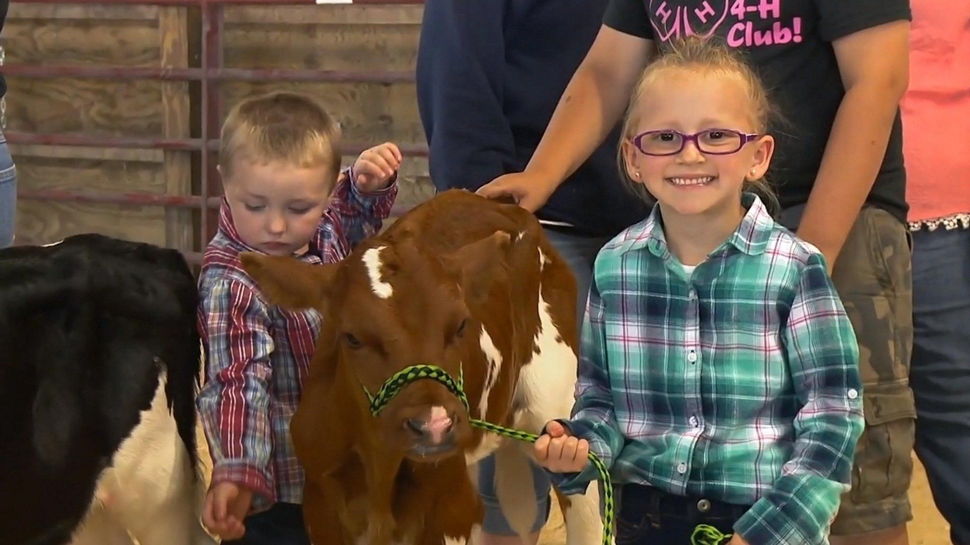 The Incredible Dr. Pol background