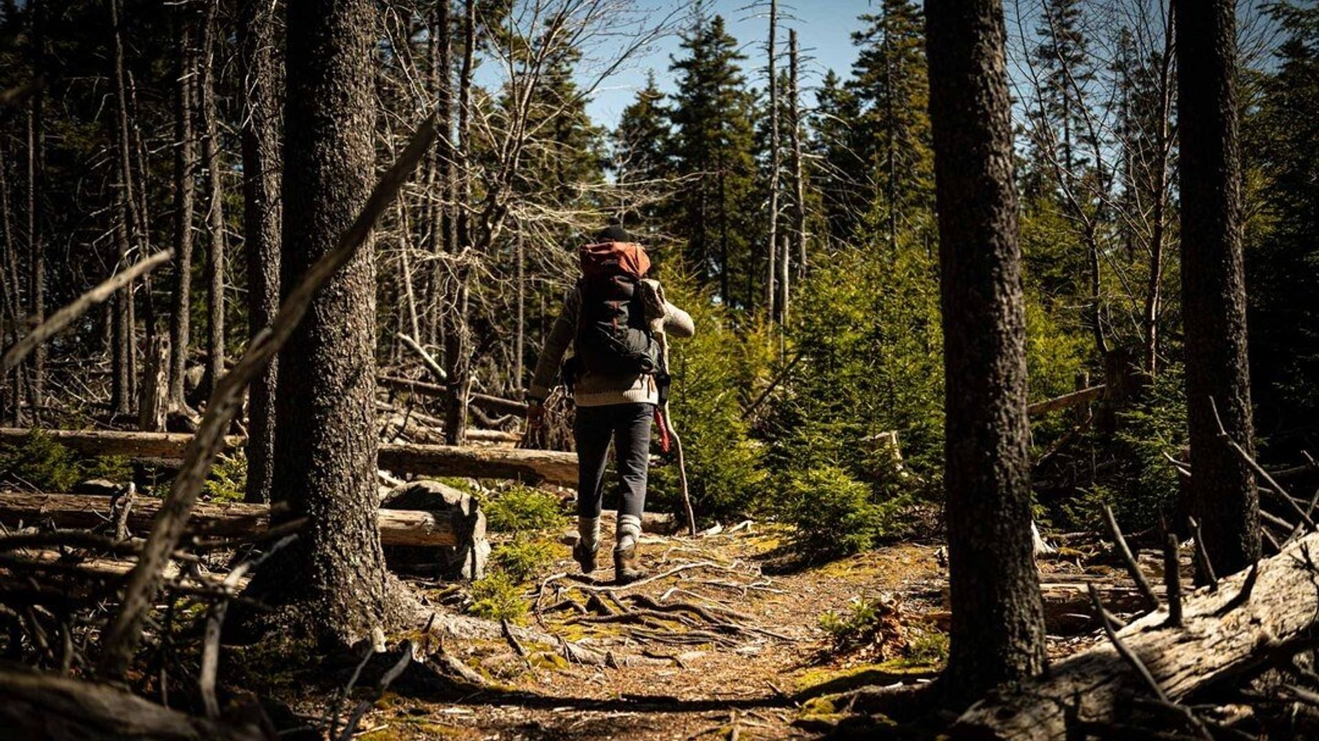 The Alaska Triangle background