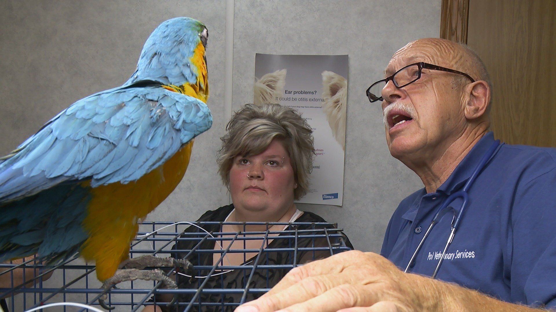The Incredible Dr. Pol background