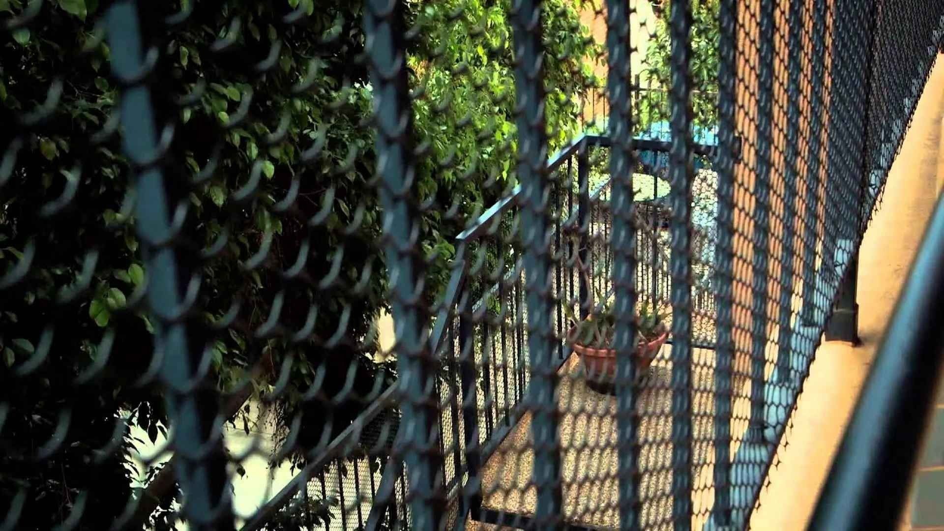 Snapped: She Made Me Do It background
