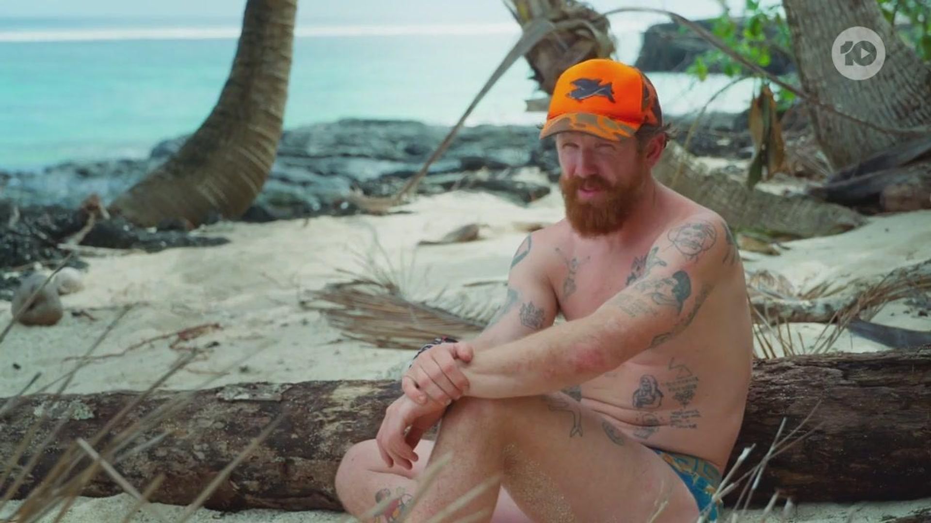 Australian Survivor background