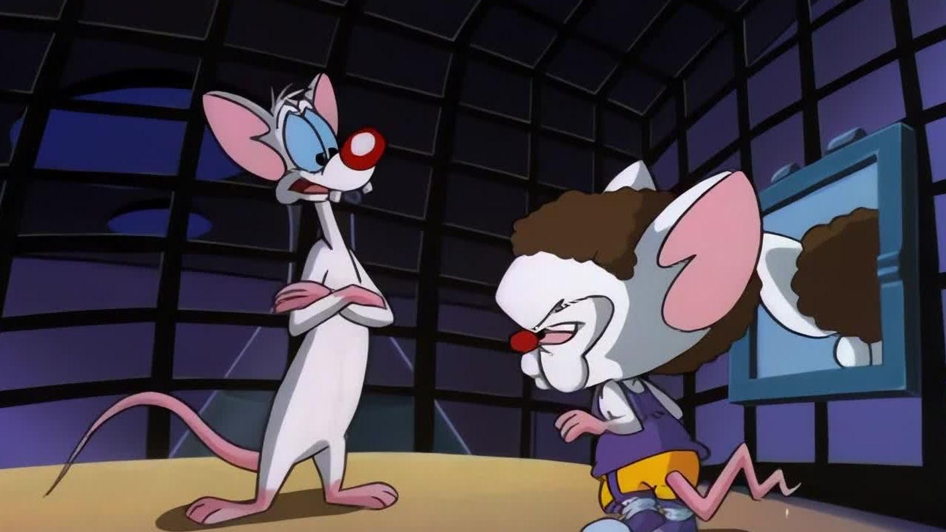 Pinky and the Brain background