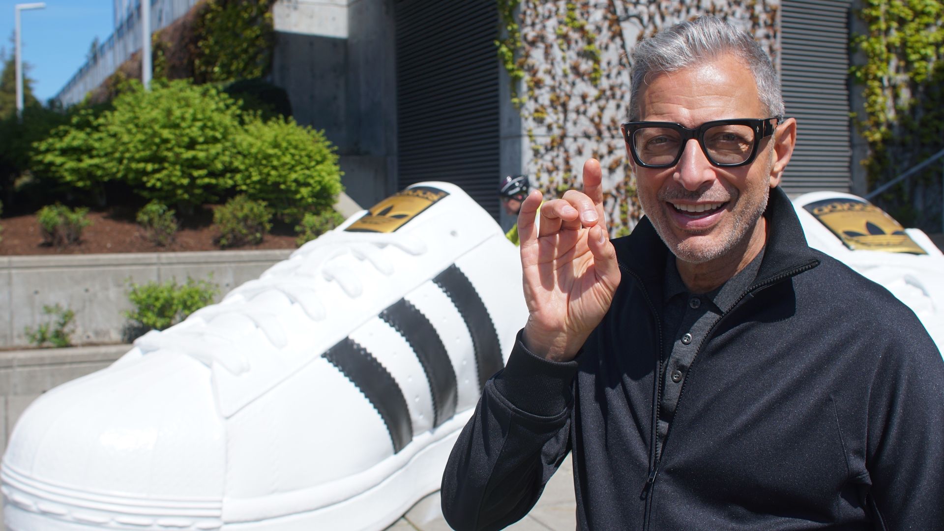 The World According to Jeff Goldblum background