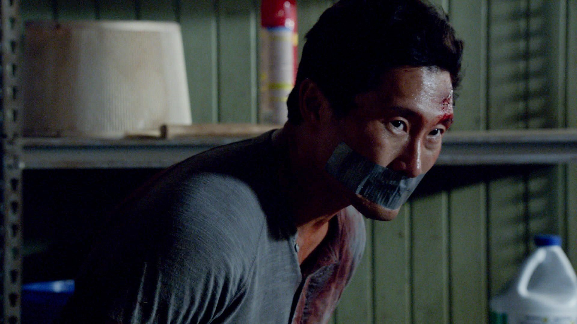 Hawaii Five-0 background