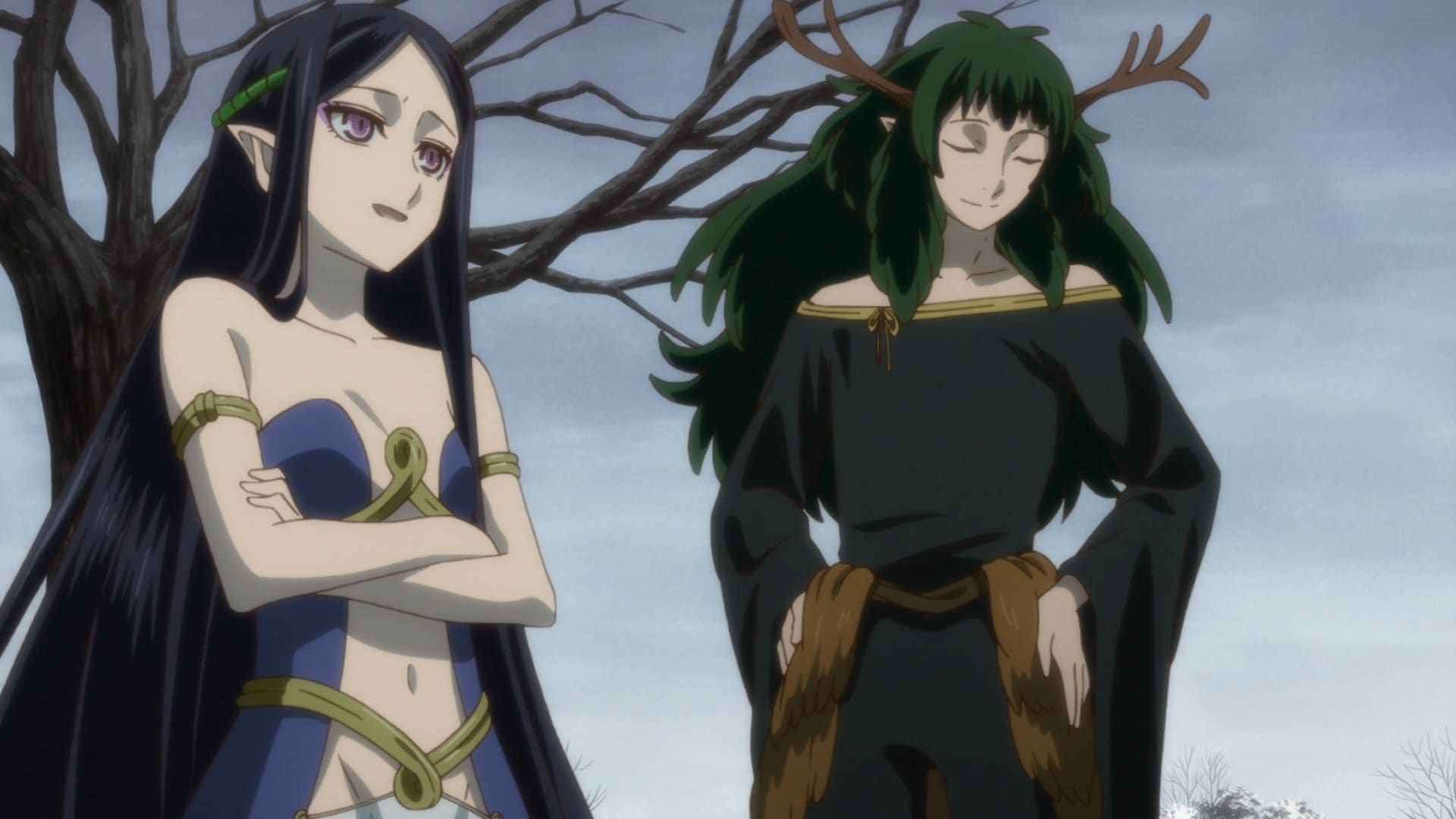 The Ancient Magus' Bride background