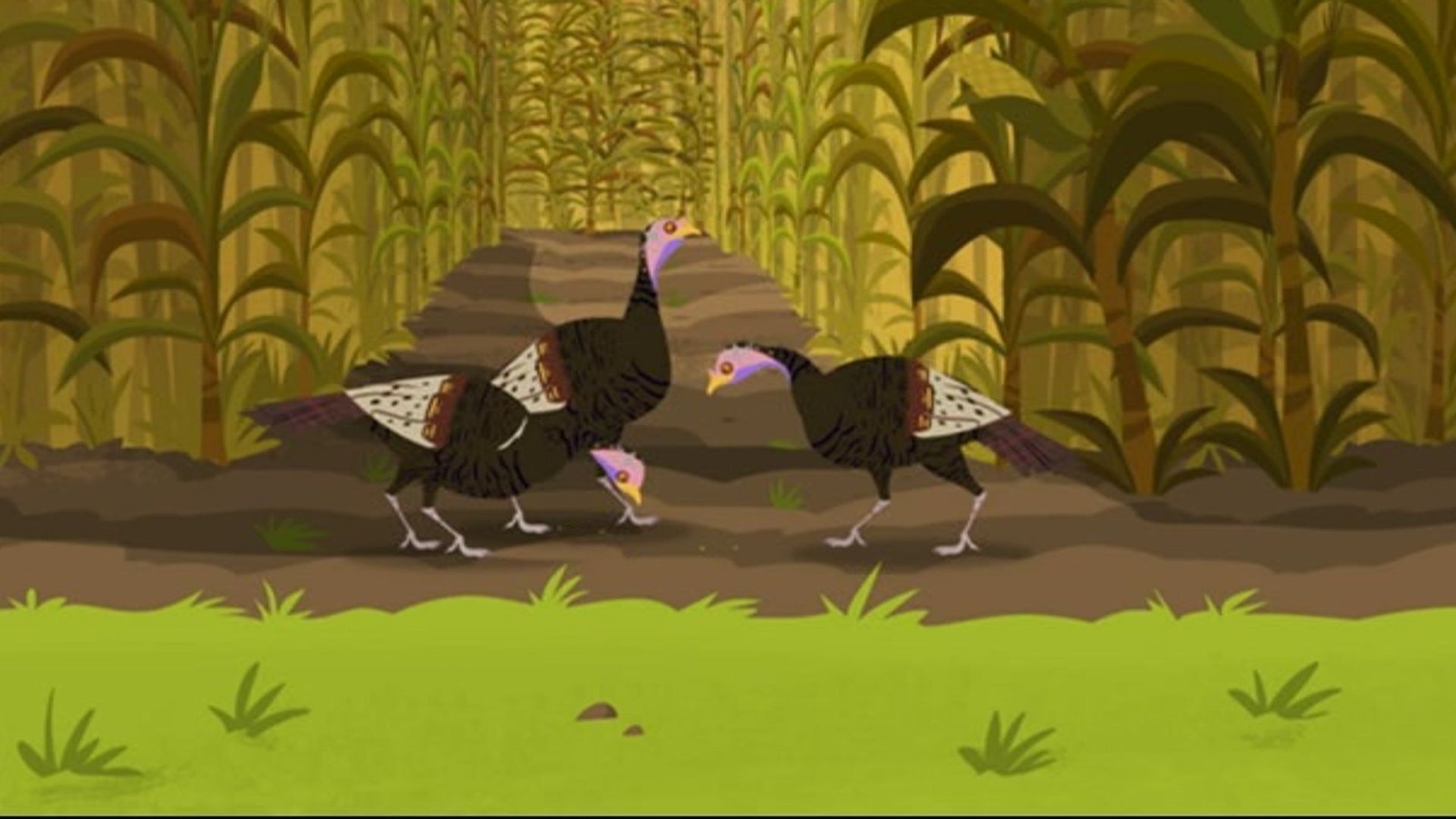 Wild Kratts background
