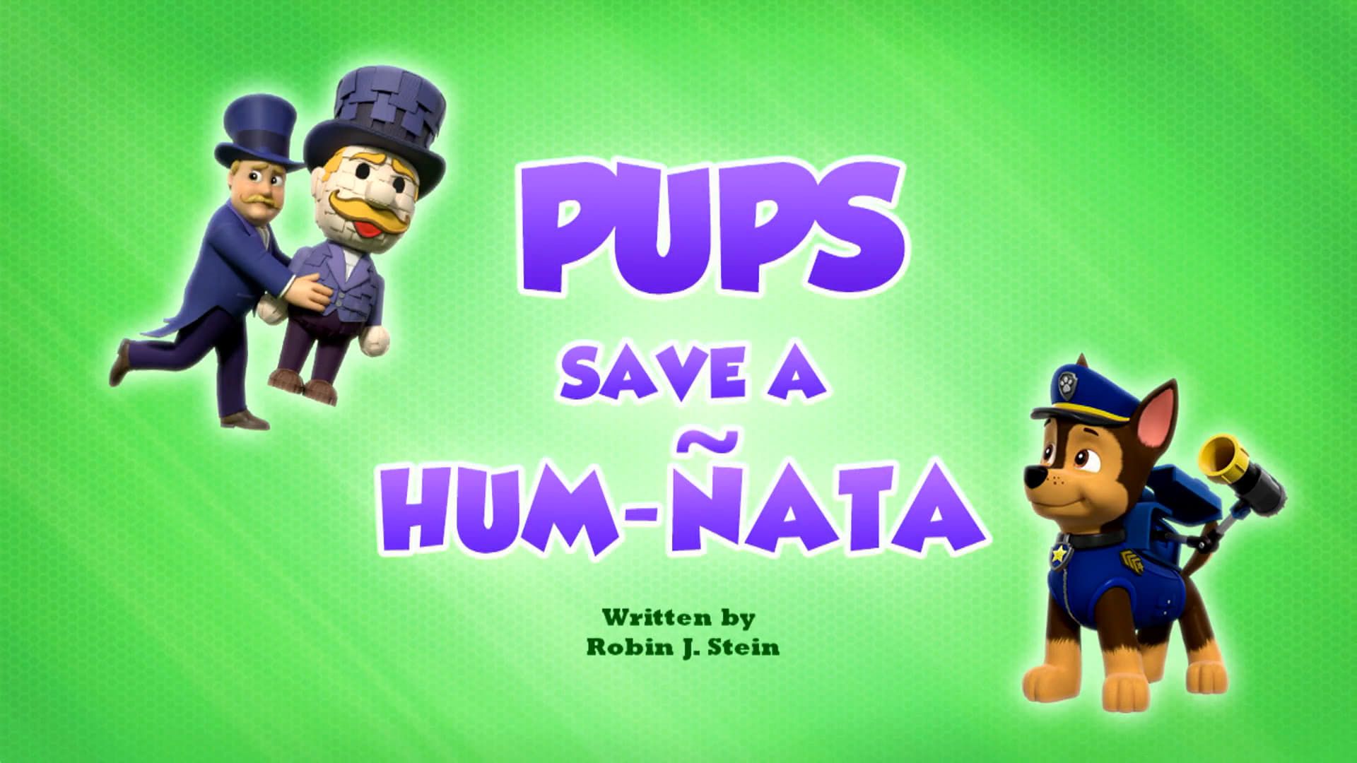 PAW Patrol background