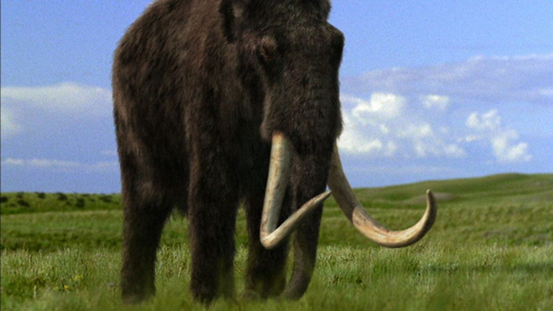 Walking with Prehistoric Beasts background