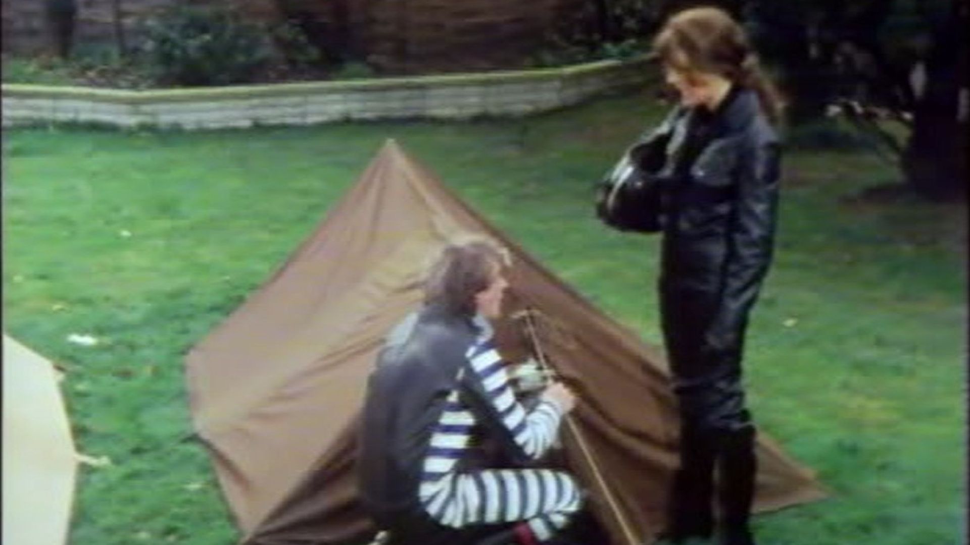 The Fall and Rise of Reginald Perrin background