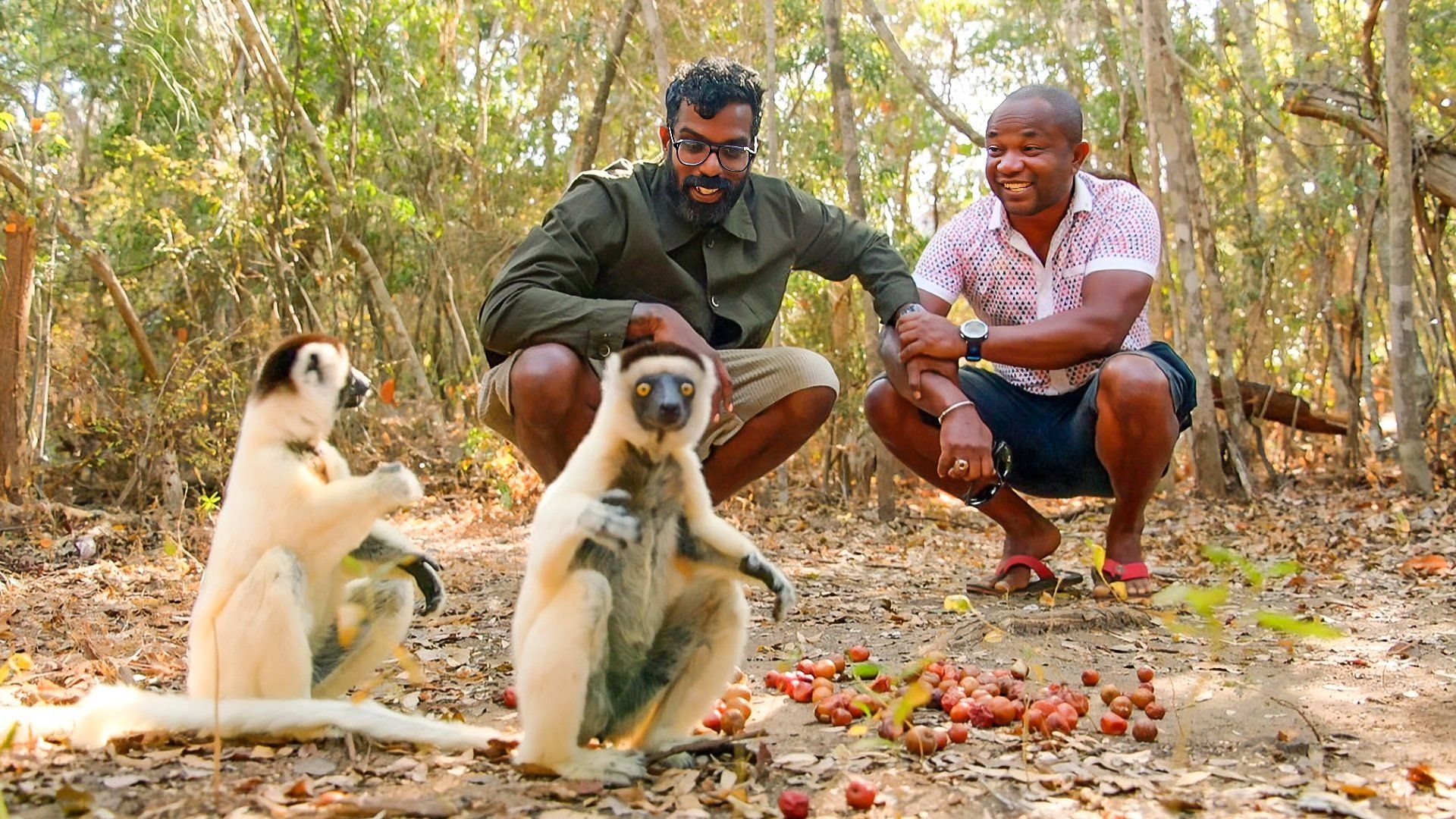 The Misadventures of Romesh Ranganathan background