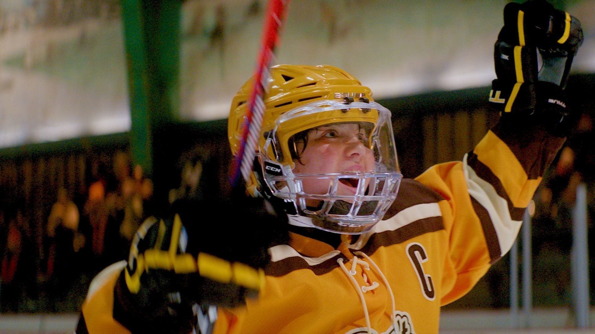 The Mighty Ducks: Game Changers background