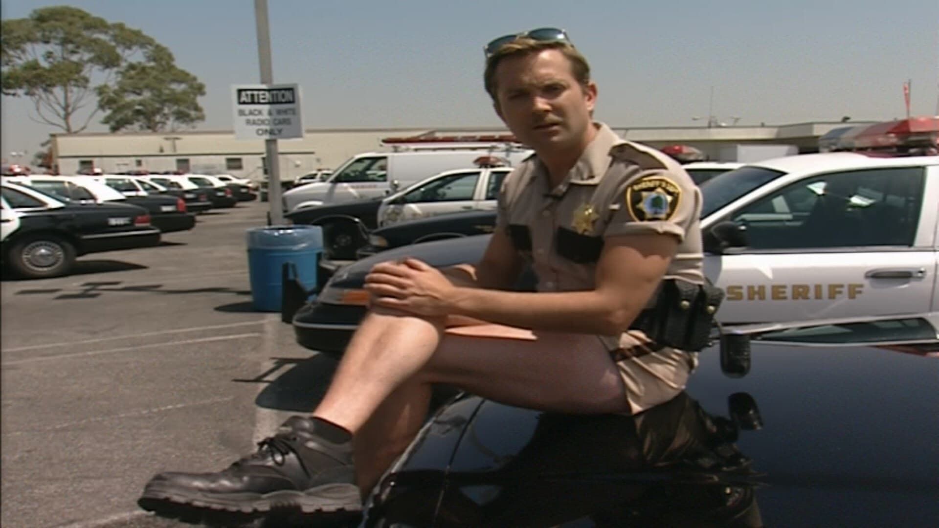 Reno 911! background