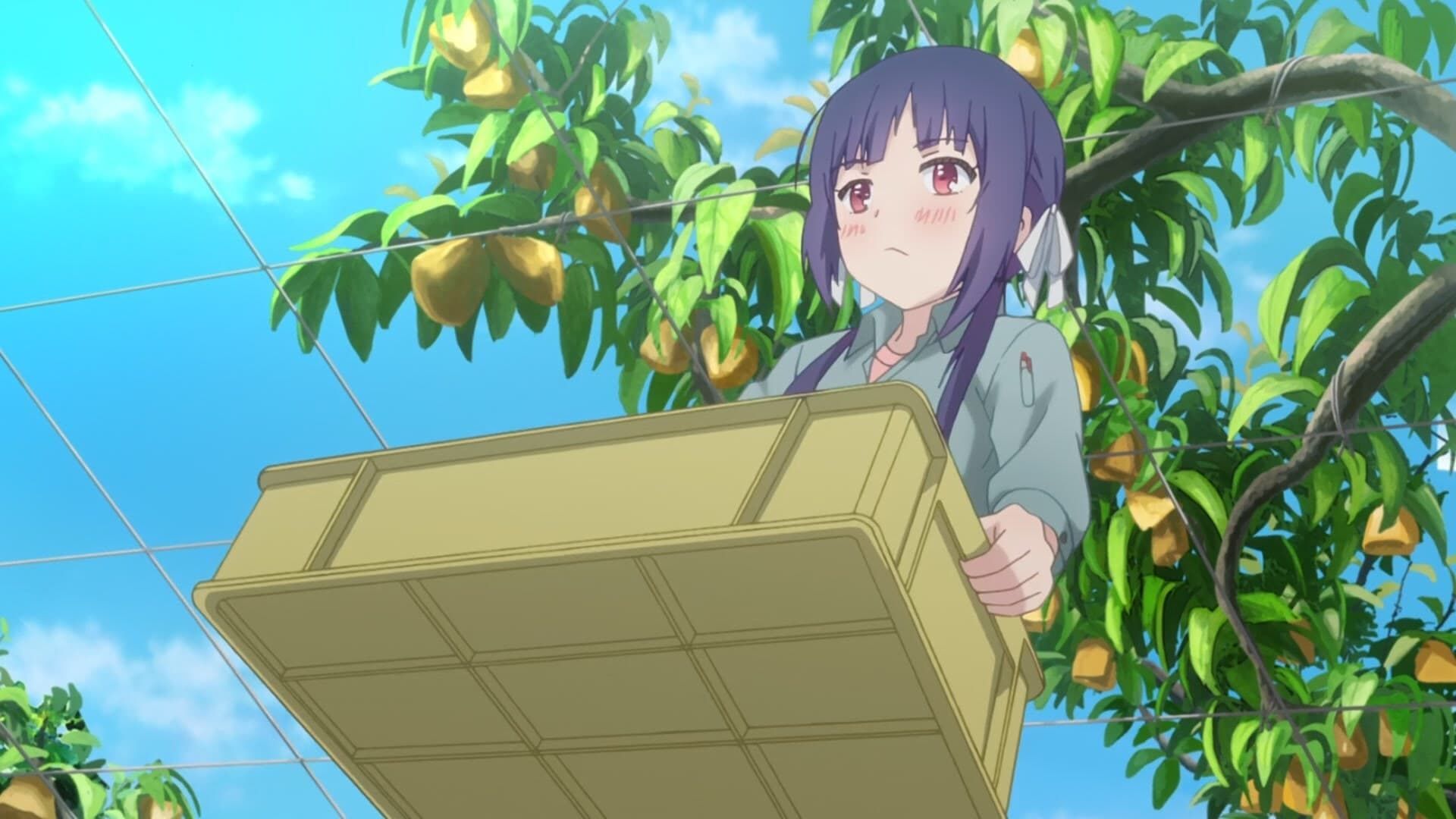 No-Rin background