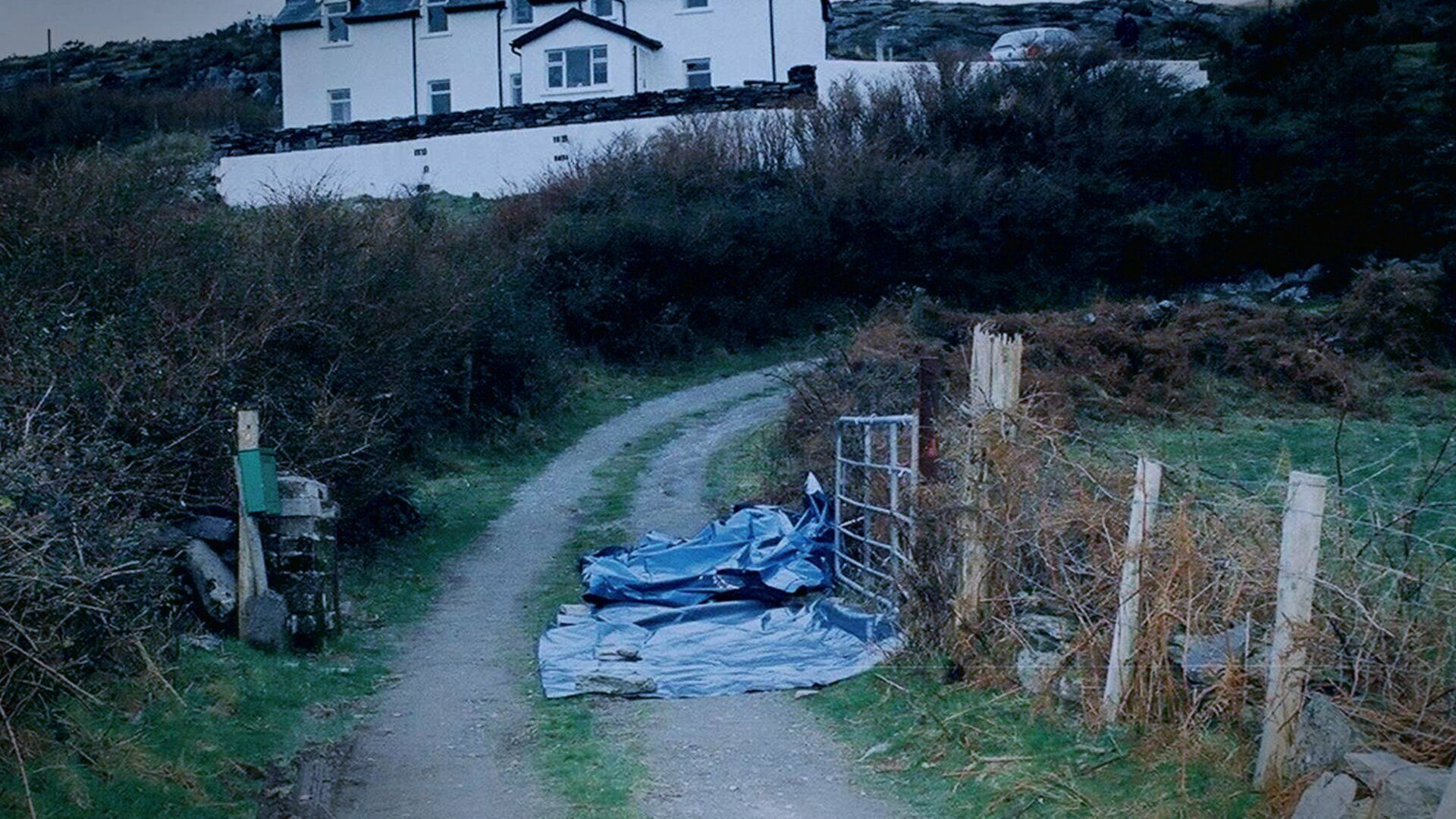 Sophie: A Murder in West Cork background