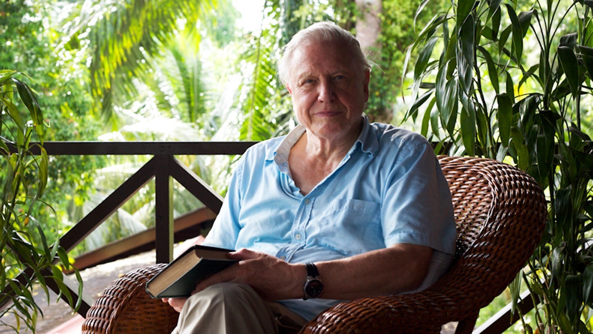 Attenborough: 60 Years in the Wild background
