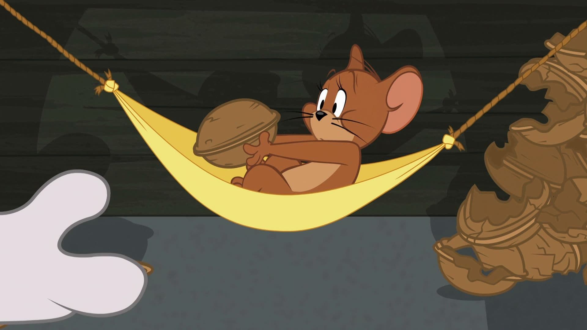 The Tom and Jerry Show background