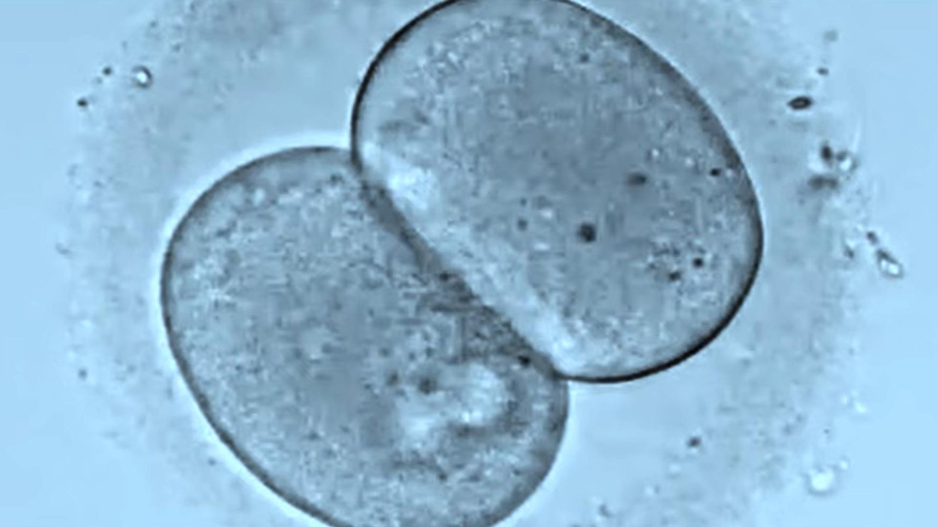 Unnatural Selection background