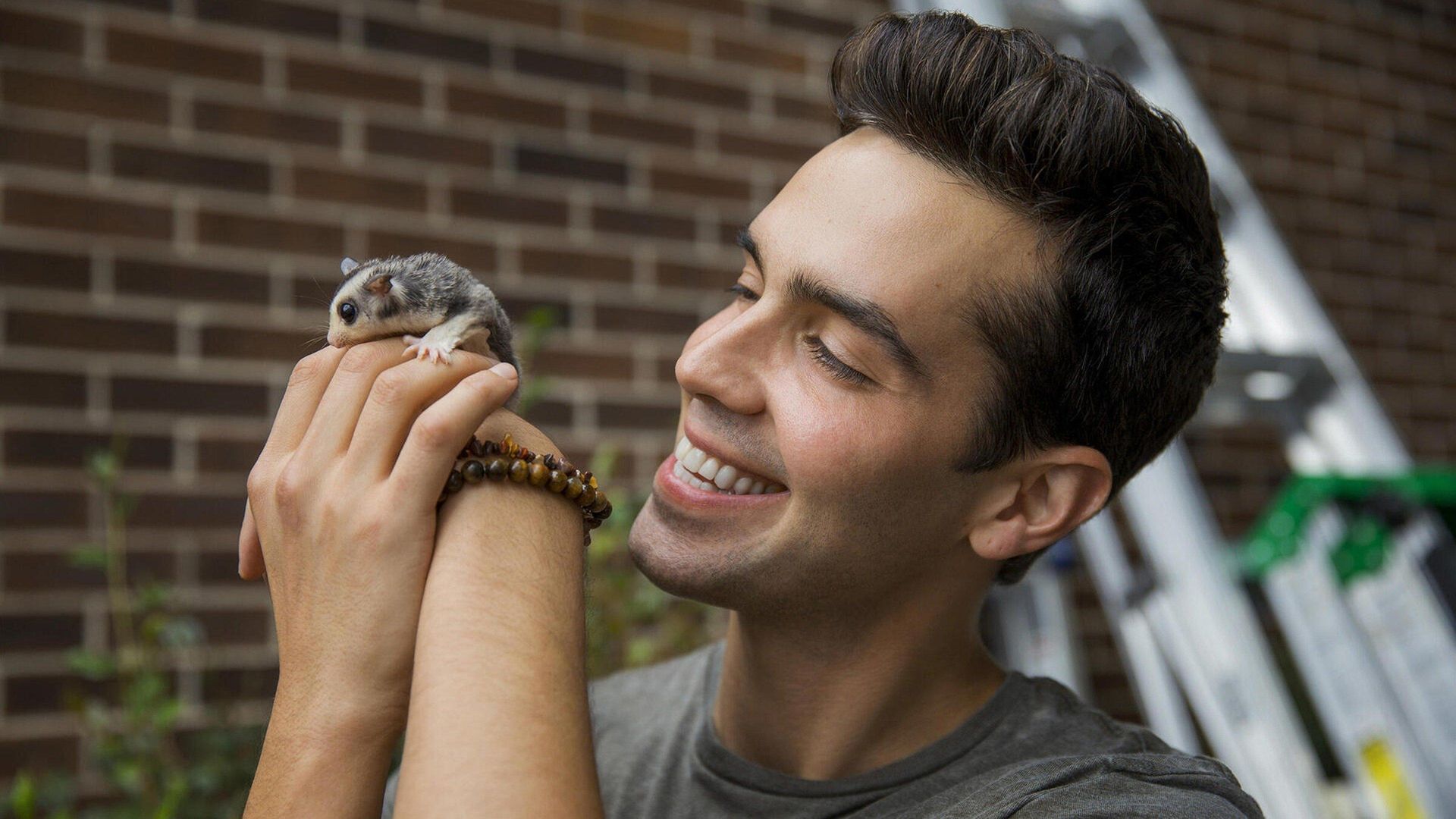 The Carbonaro Effect background