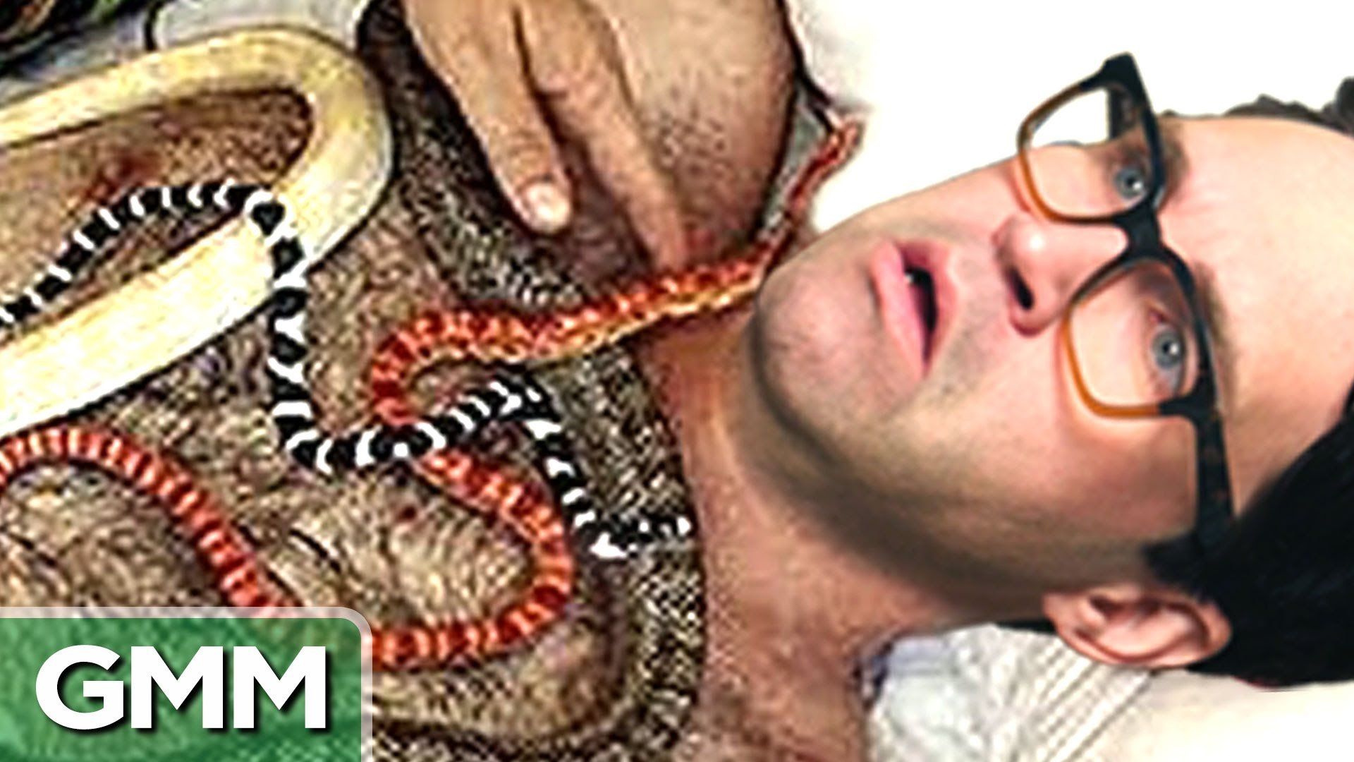 Good Mythical Morning background