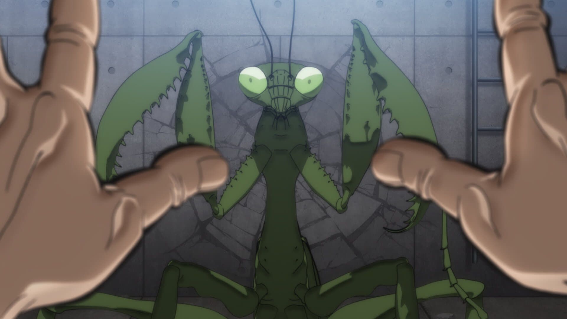 Baki Hanma background