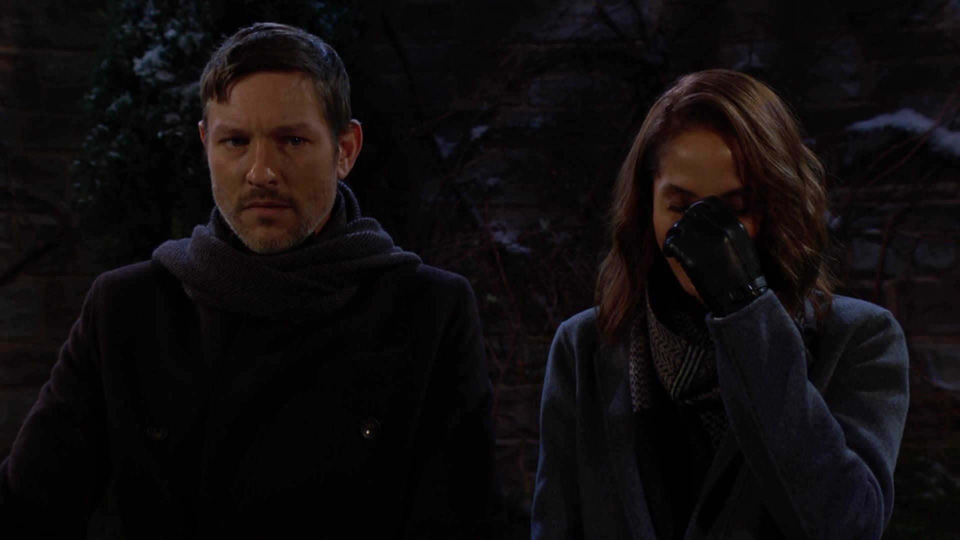 The Young and the Restless background