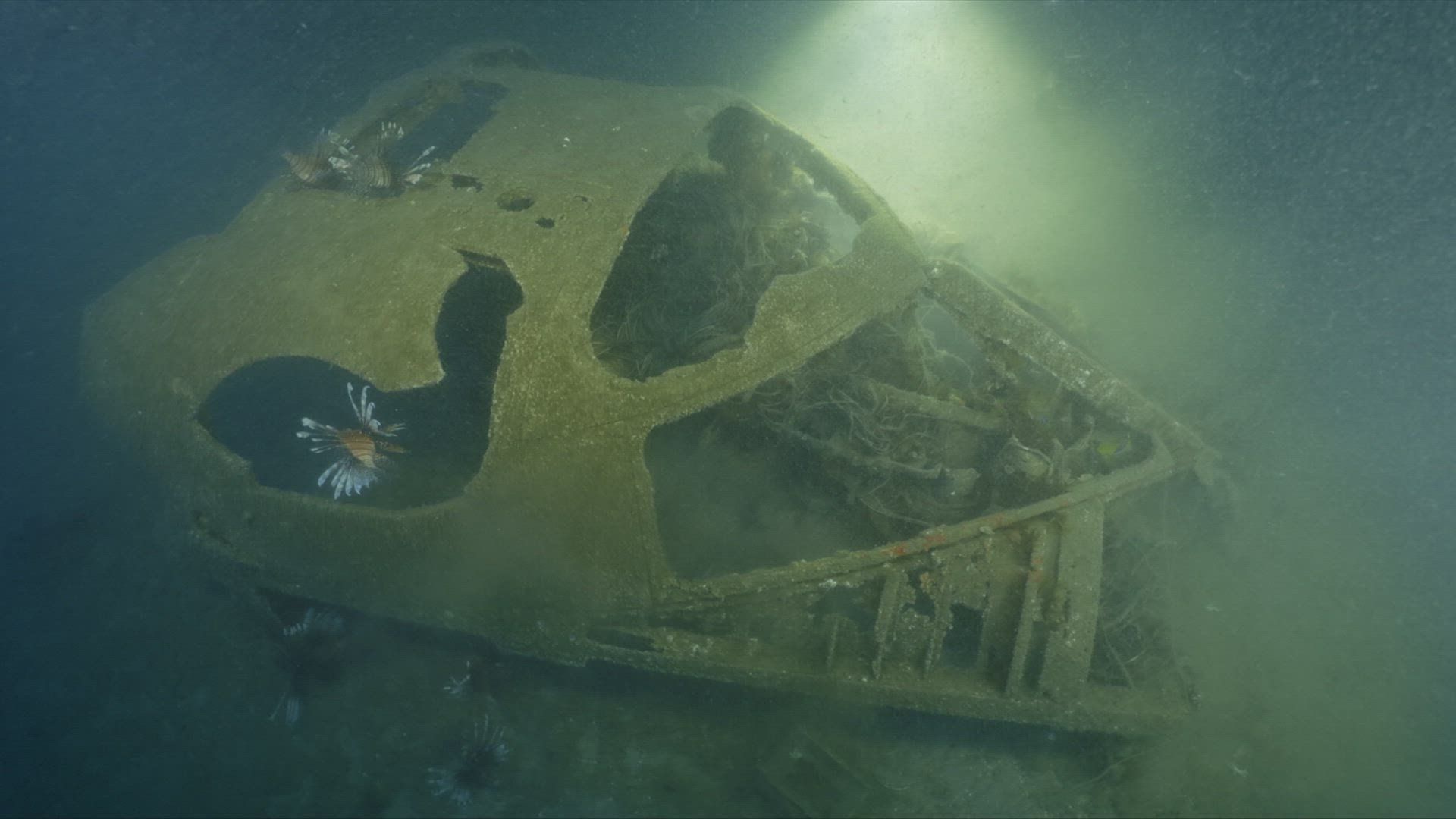 The Bermuda Triangle: Into Cursed background