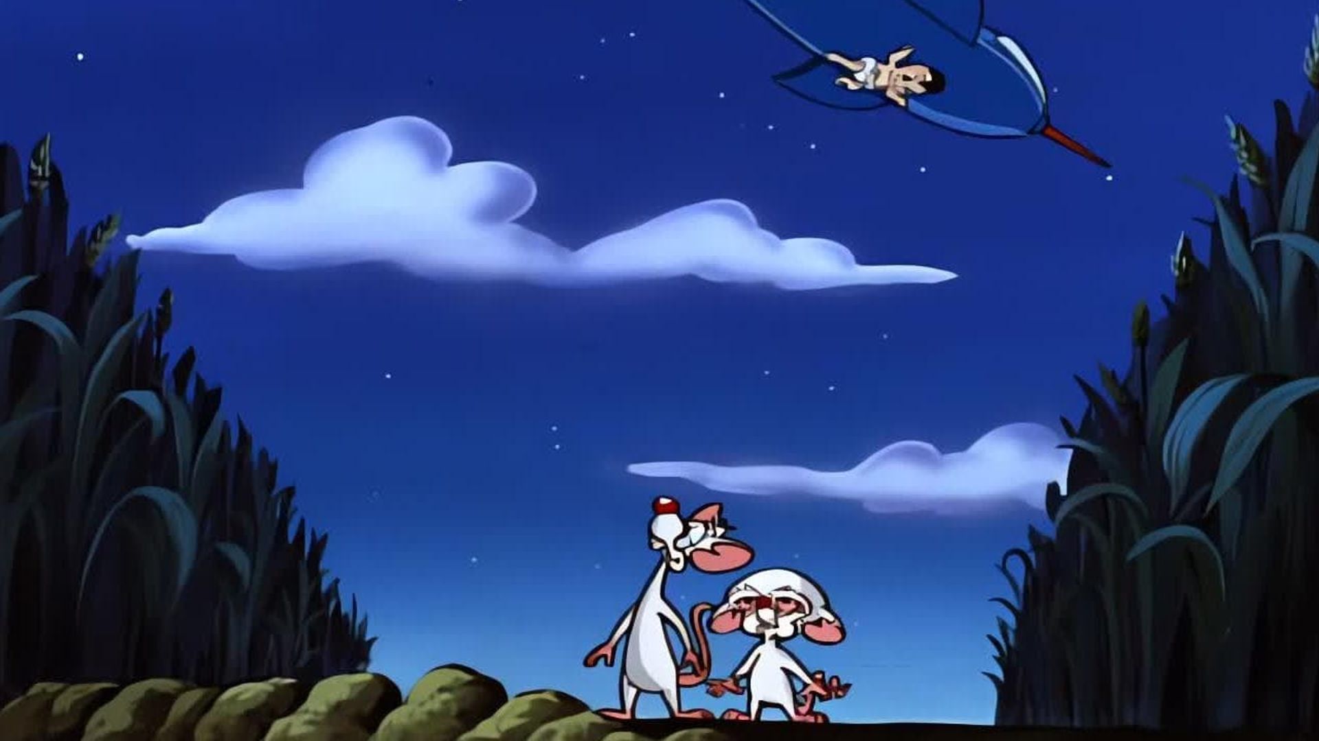 Pinky and the Brain background