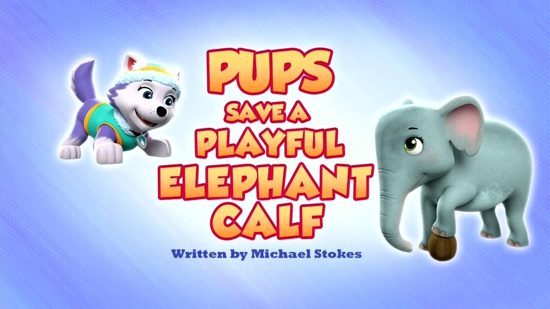 PAW Patrol background