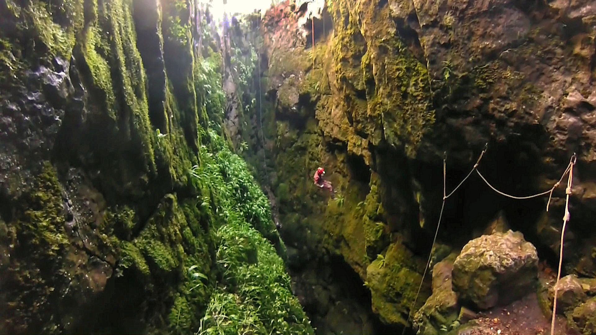 Britain's Ancient Tracks with Tony Robinson background